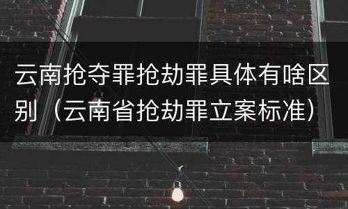 云南抢夺罪抢劫罪具体有啥区别（云南省抢劫罪立案标准）