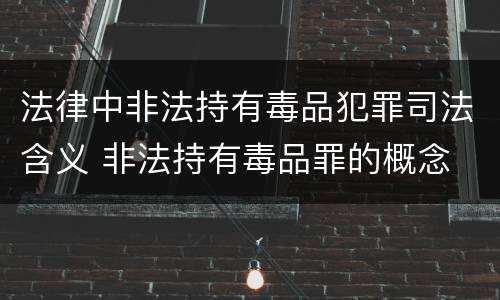 法律中非法持有毒品犯罪司法含义 非法持有毒品罪的概念