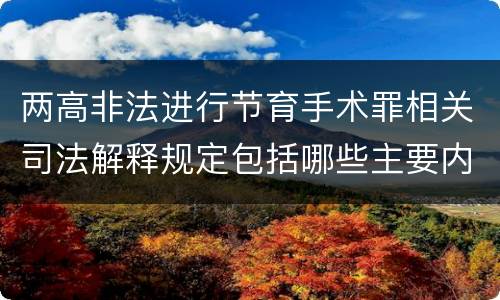 两高非法进行节育手术罪相关司法解释规定包括哪些主要内容