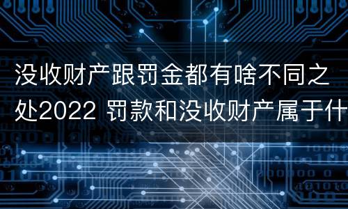 没收财产跟罚金都有啥不同之处2022 罚款和没收财产属于什么制裁