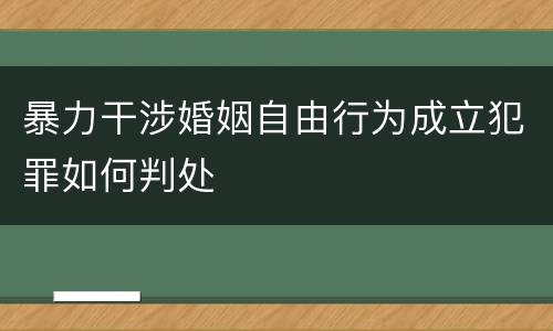 暴力干涉婚姻自由行为成立犯罪如何判处