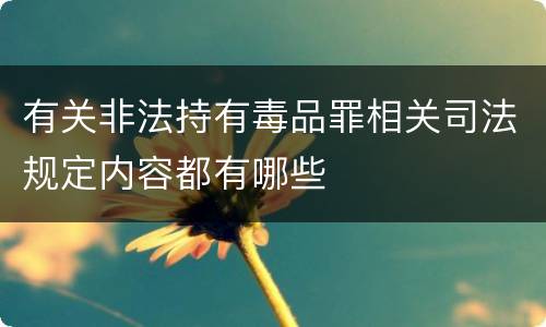 有关非法持有毒品罪相关司法规定内容都有哪些