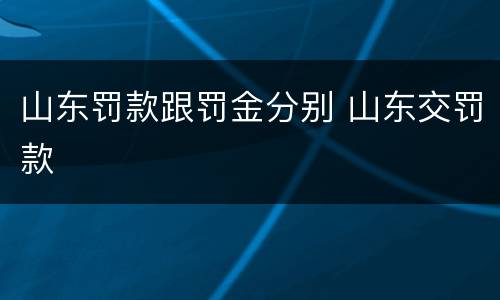 山东罚款跟罚金分别 山东交罚款