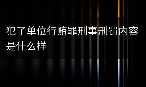 犯了单位行贿罪刑事刑罚内容是什么样