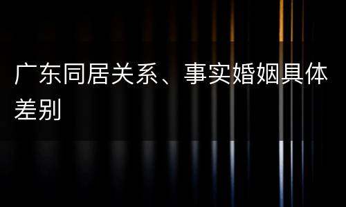 广东同居关系、事实婚姻具体差别