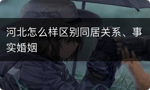 河北怎么样区别同居关系、事实婚姻