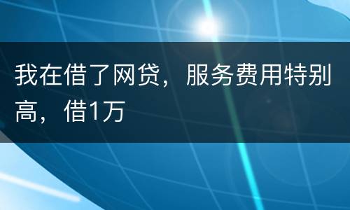 我在借了网贷，服务费用特别高，借1万