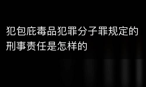 犯包庇毒品犯罪分子罪规定的刑事责任是怎样的