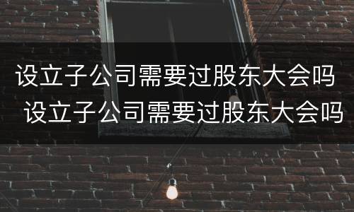 设立子公司需要过股东大会吗 设立子公司需要过股东大会吗为什么