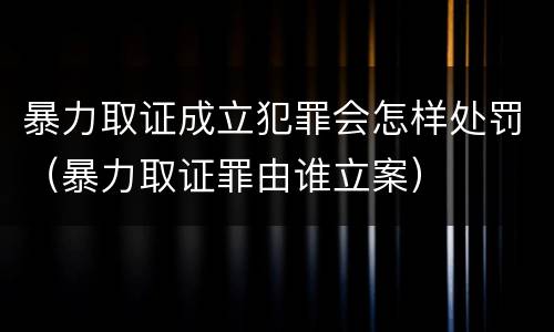 暴力取证成立犯罪会怎样处罚（暴力取证罪由谁立案）