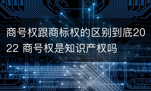 商号权跟商标权的区别到底2022 商号权是知识产权吗