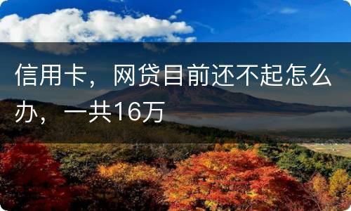 信用卡，网贷目前还不起怎么办，一共16万