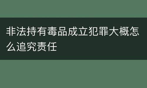 非法持有毒品成立犯罪大概怎么追究责任