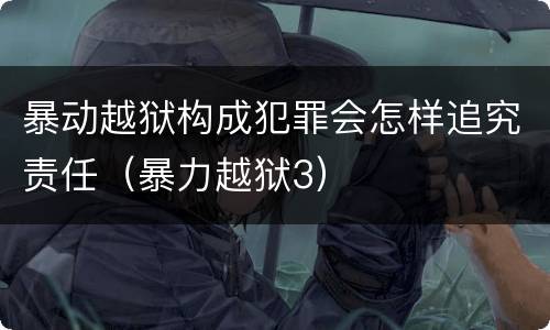 暴动越狱构成犯罪会怎样追究责任（暴力越狱3）