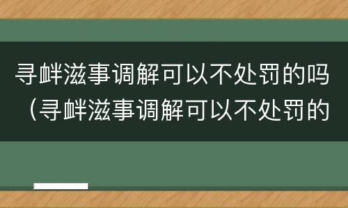 寻衅滋事调解可以不处罚的吗（寻衅滋事调解可以不处罚的吗法院）