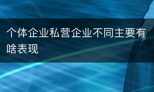 个体企业私营企业不同主要有啥表现