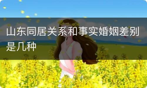 山东同居关系和事实婚姻差别是几种