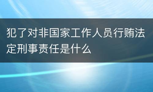 犯了对非国家工作人员行贿法定刑事责任是什么