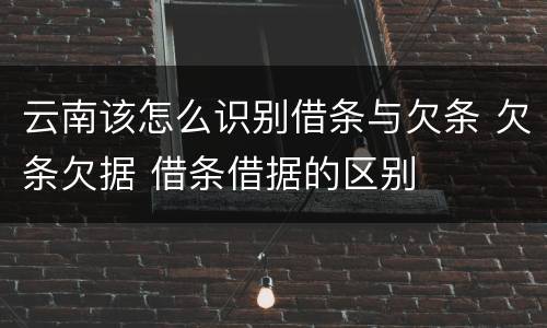 云南该怎么识别借条与欠条 欠条欠据 借条借据的区别