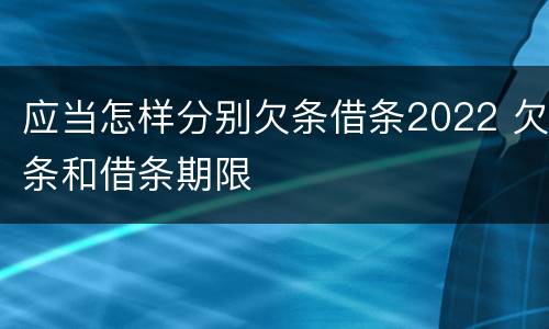 应当怎样分别欠条借条2022 欠条和借条期限