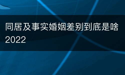 同居及事实婚姻差别到底是啥2022