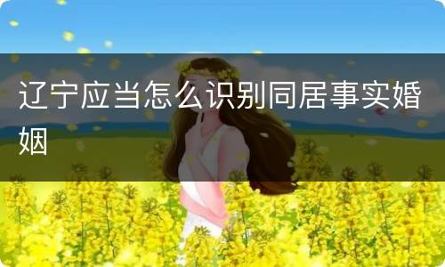 辽宁应当怎么识别同居事实婚姻