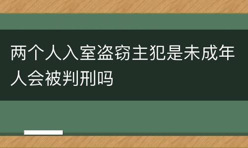 两个人入室盗窃主犯是未成年人会被判刑吗