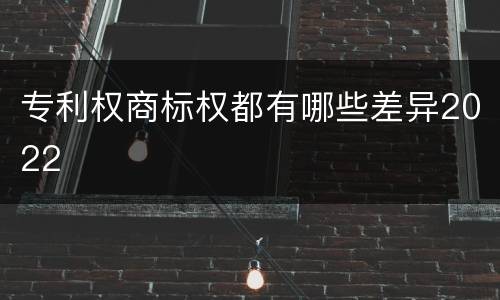 专利权商标权都有哪些差异2022