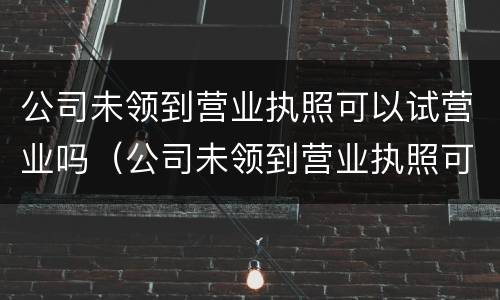 公司未领到营业执照可以试营业吗（公司未领到营业执照可以试营业吗怎么办）