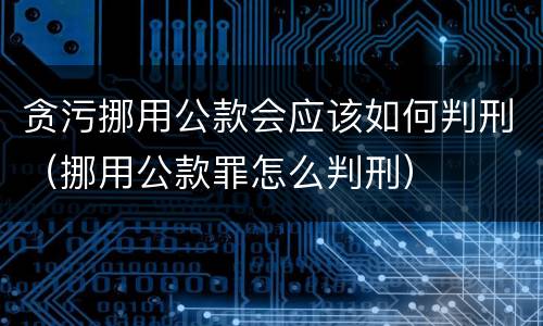 贪污挪用公款会应该如何判刑（挪用公款罪怎么判刑）