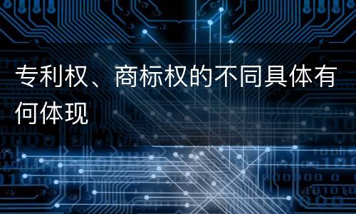 专利权、商标权的不同具体有何体现