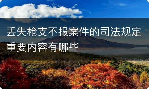 丢失枪支不报案件的司法规定重要内容有哪些