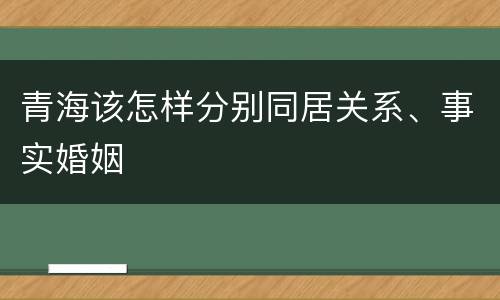 青海该怎样分别同居关系、事实婚姻