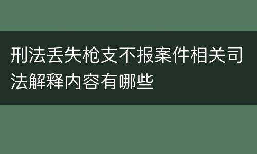 刑法丢失枪支不报案件相关司法解释内容有哪些