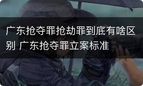 广东抢夺罪抢劫罪到底有啥区别 广东抢夺罪立案标准