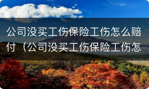 公司没买工伤保险工伤怎么赔付（公司没买工伤保险工伤怎么赔付的）