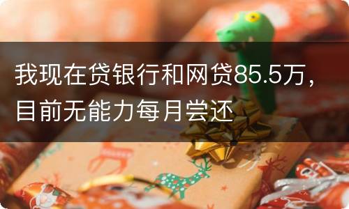 我现在贷银行和网贷85.5万，目前无能力每月尝还