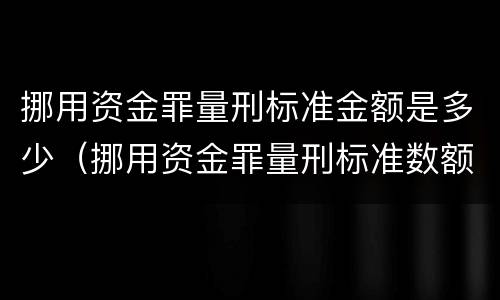 挪用资金罪量刑标准金额是多少（挪用资金罪量刑标准数额巨大）