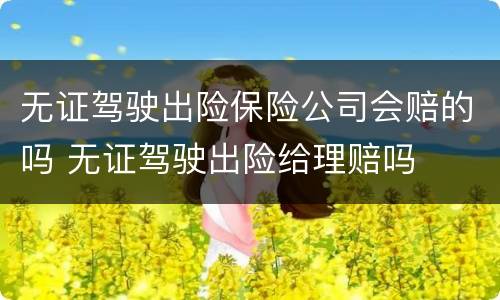 无证驾驶出险保险公司会赔的吗 无证驾驶出险给理赔吗