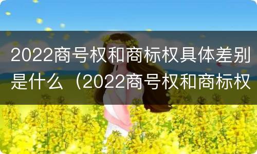 2022商号权和商标权具体差别是什么（2022商号权和商标权具体差别是什么意思）