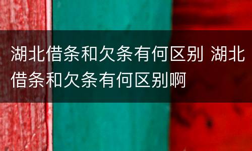 湖北借条和欠条有何区别 湖北借条和欠条有何区别啊