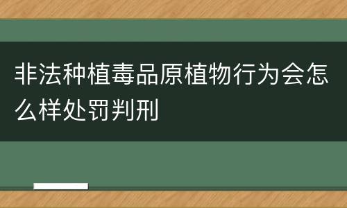 非法种植毒品原植物行为会怎么样处罚判刑