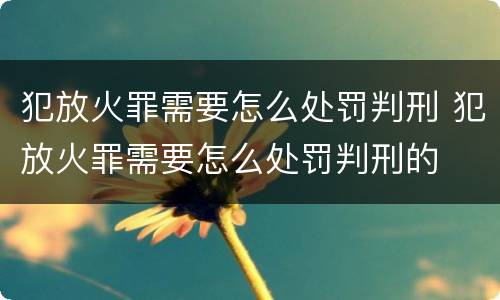 犯放火罪需要怎么处罚判刑 犯放火罪需要怎么处罚判刑的