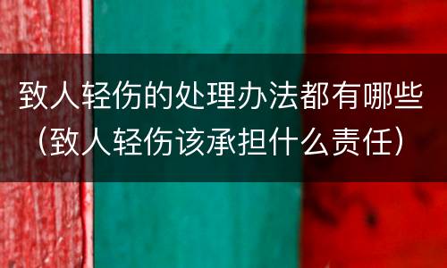 致人轻伤的处理办法都有哪些（致人轻伤该承担什么责任）