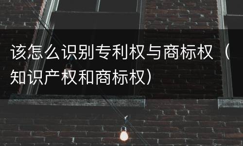 该怎么识别专利权与商标权（知识产权和商标权）