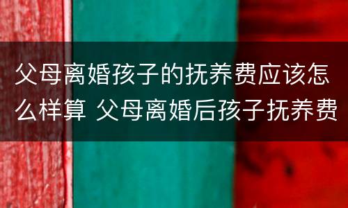 父母离婚孩子的抚养费应该怎么样算 父母离婚后孩子抚养费标准的法律依据