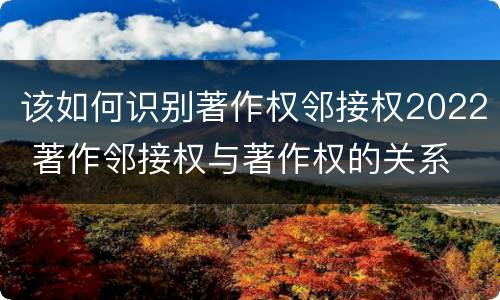 该如何识别著作权邻接权2022 著作邻接权与著作权的关系