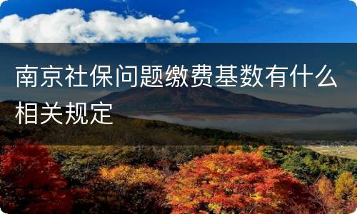 南京社保问题缴费基数有什么相关规定