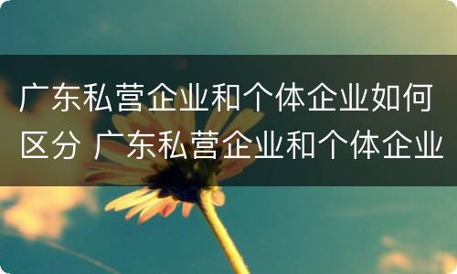 广东私营企业和个体企业如何区分 广东私营企业和个体企业如何区分呢