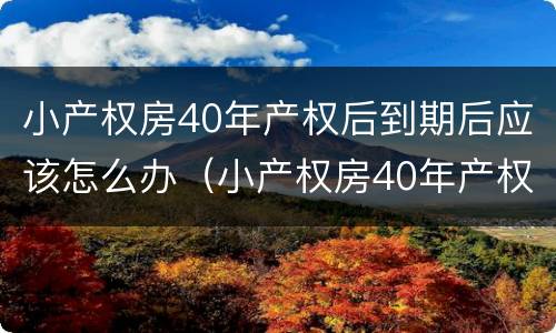 小产权房40年产权后到期后应该怎么办（小产权房40年产权后到期后应该怎么办）